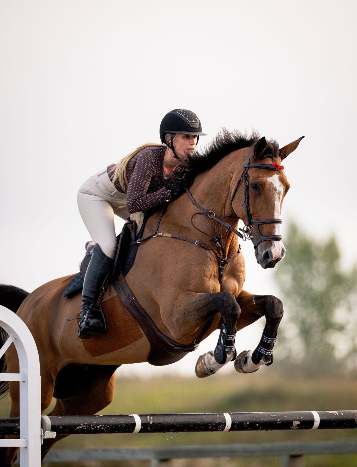Rider jumping a horse in the brown ARMATEQ Airform Polka Dot long-sleeve shirt